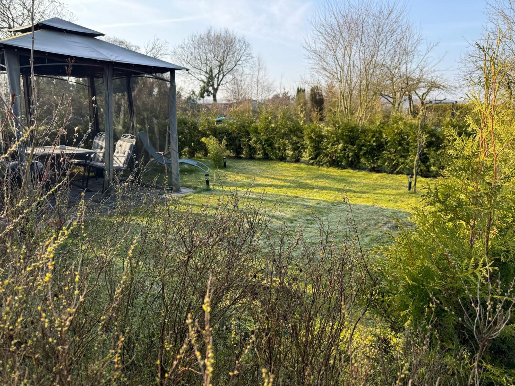 Ferienwohnung Am See Dillich - Ruhige Lage - Eigener Garten - Direkt Neben Einem Natursee Borken  Extérieur photo