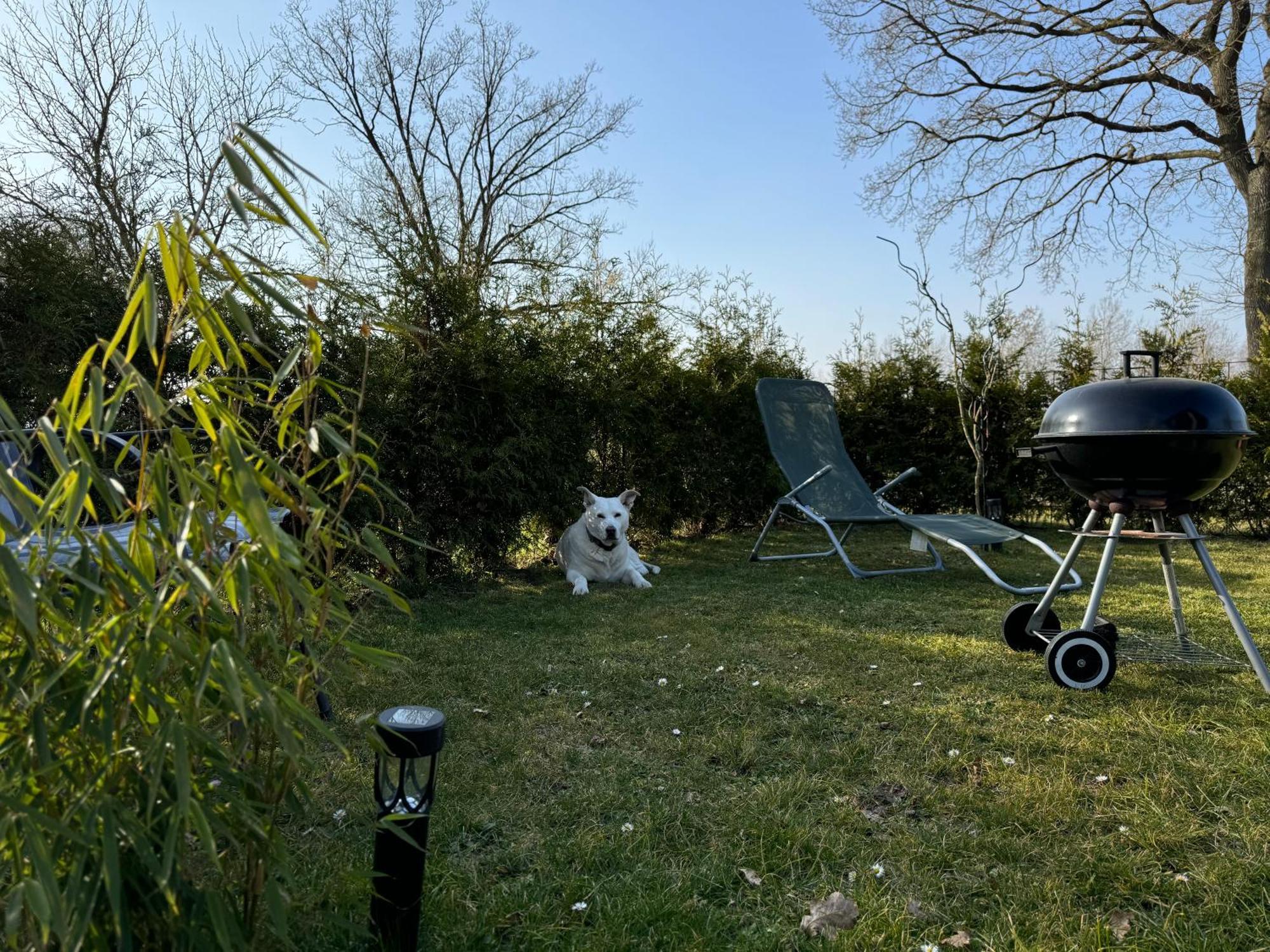 Ferienwohnung Am See Dillich - Ruhige Lage - Eigener Garten - Direkt Neben Einem Natursee Borken  Extérieur photo