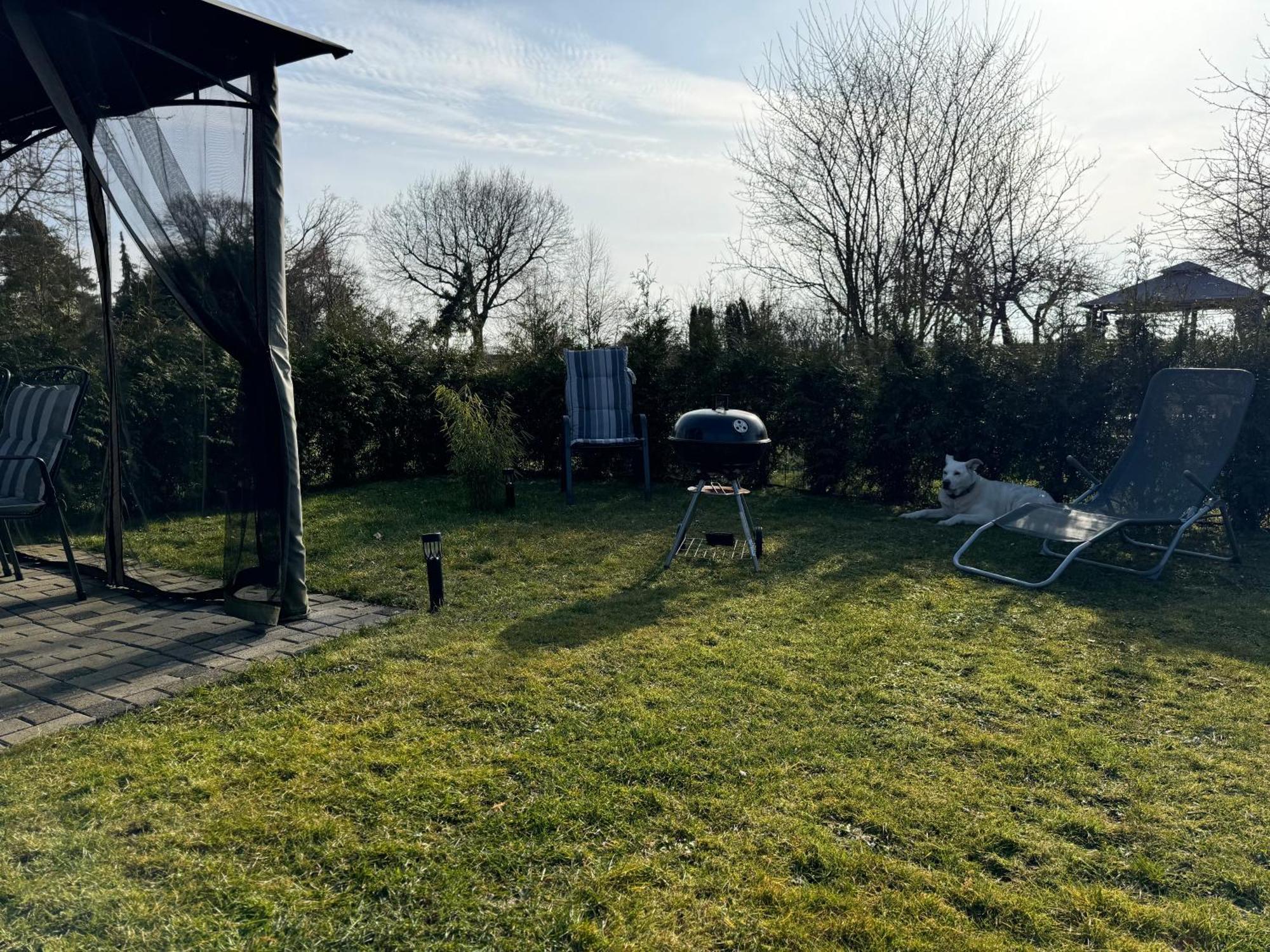 Ferienwohnung Am See Dillich - Ruhige Lage - Eigener Garten - Direkt Neben Einem Natursee Borken  Extérieur photo
