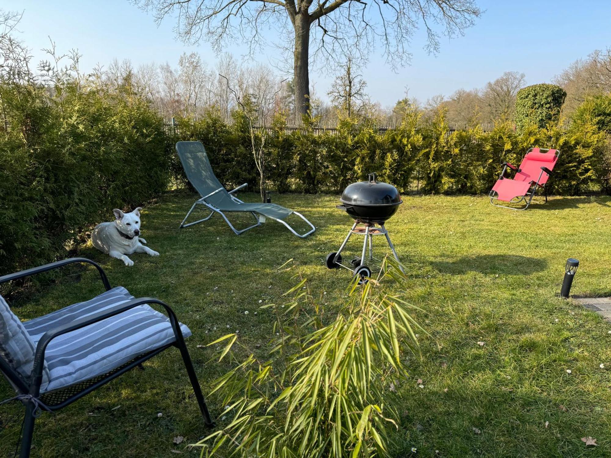 Ferienwohnung Am See Dillich - Ruhige Lage - Eigener Garten - Direkt Neben Einem Natursee Borken  Extérieur photo