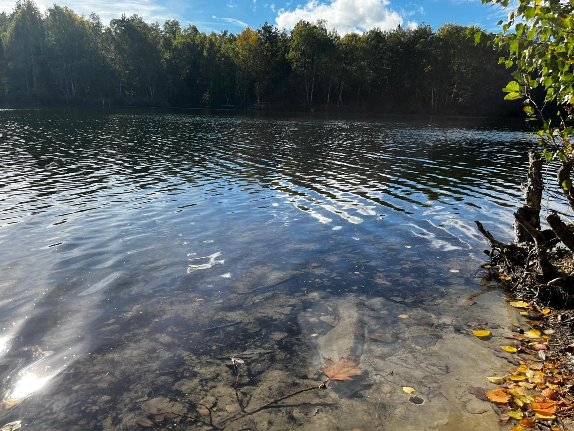 Ferienwohnung Am See Dillich - Ruhige Lage - Eigener Garten - Direkt Neben Einem Natursee Borken  Extérieur photo