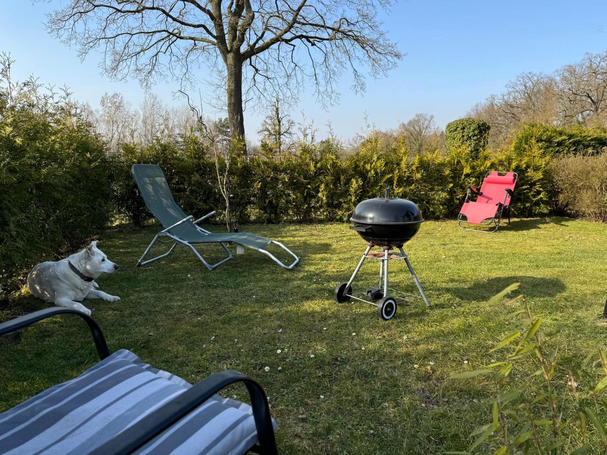 Ferienwohnung Am See Dillich - Ruhige Lage - Eigener Garten - Direkt Neben Einem Natursee Borken  Extérieur photo
