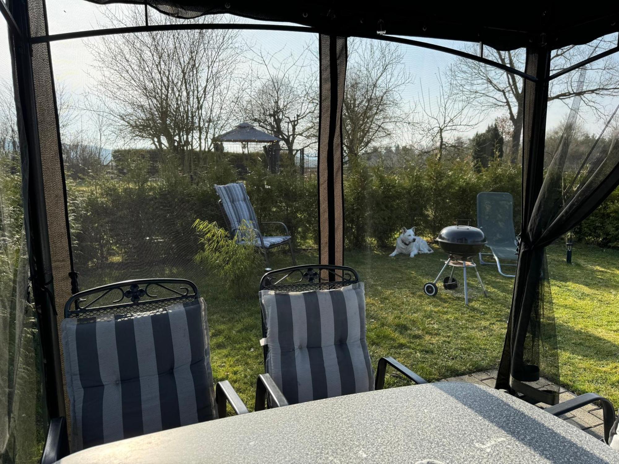 Ferienwohnung Am See Dillich - Ruhige Lage - Eigener Garten - Direkt Neben Einem Natursee Borken  Extérieur photo